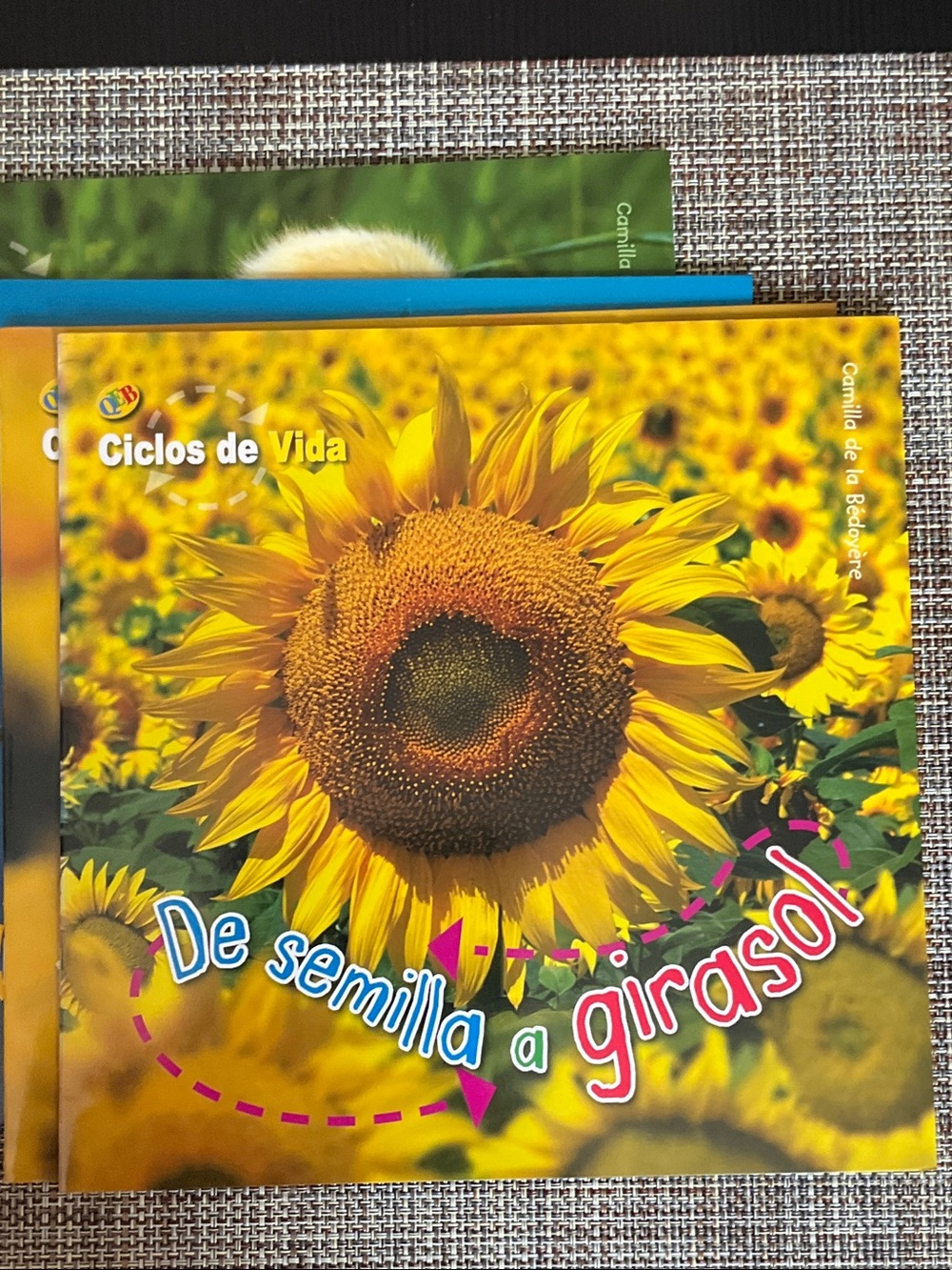 4 sciences books in Spanish, NWT